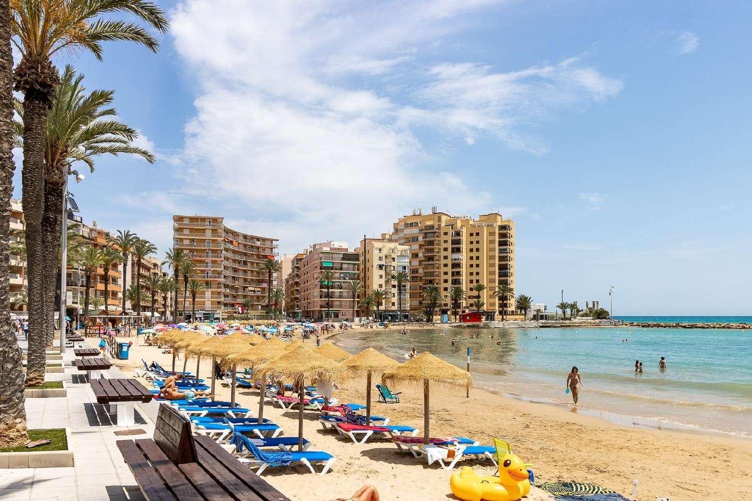 Casa Amorosa Apartment With Pool - Close To Beach, City Centre And Bus Station Torrevieja Eksteriør billede